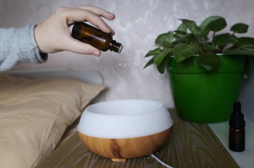 Tinh Dầu Oải Hương – Hương Thơm Thư Giãn, Giấc Ngủ An Lành Từ Thiên Nhiên