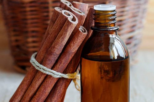 Tinh dầu vỏ quế – ấm áp và mạnh mẽ