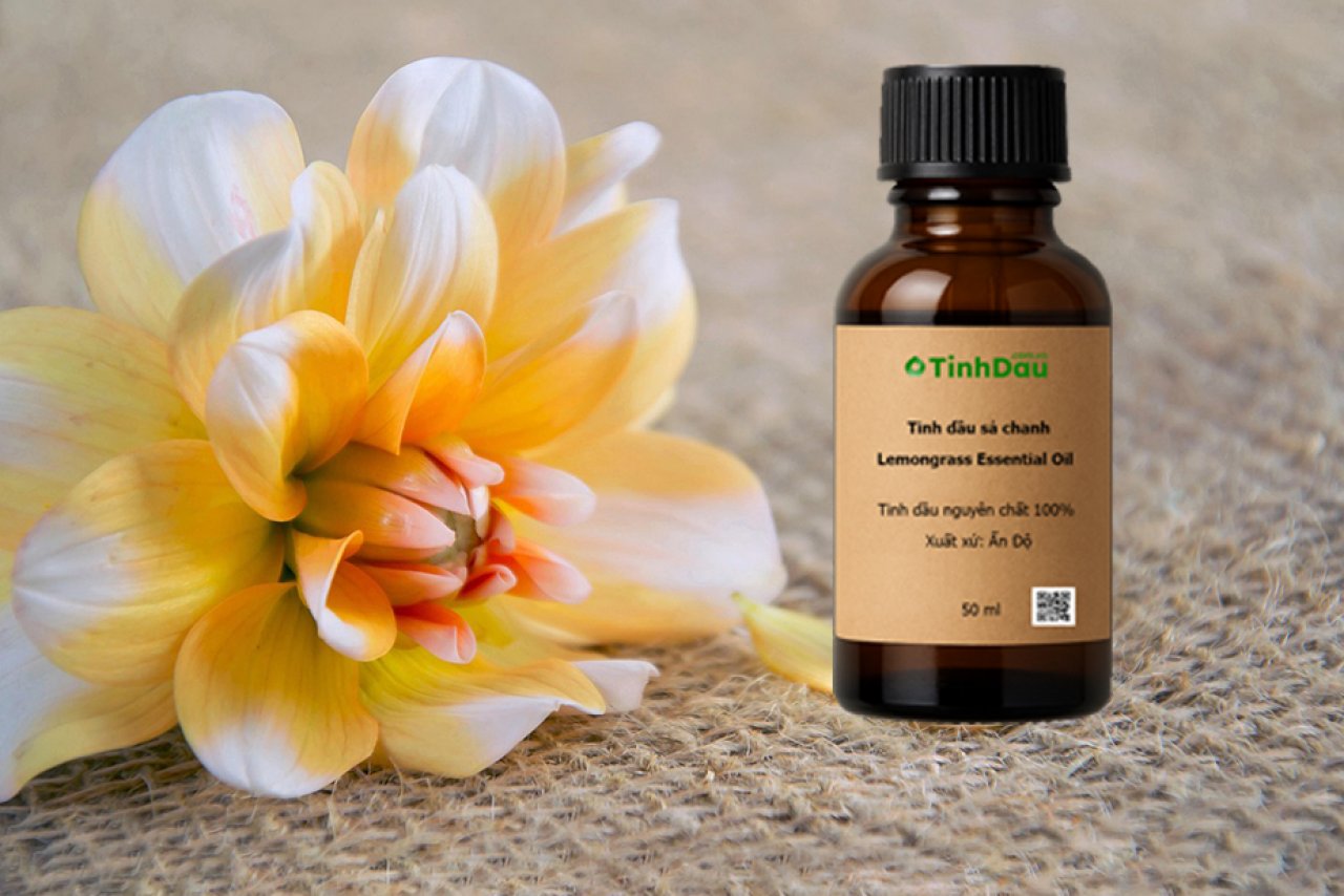 Tinh dầu cho học sinh ôn thi