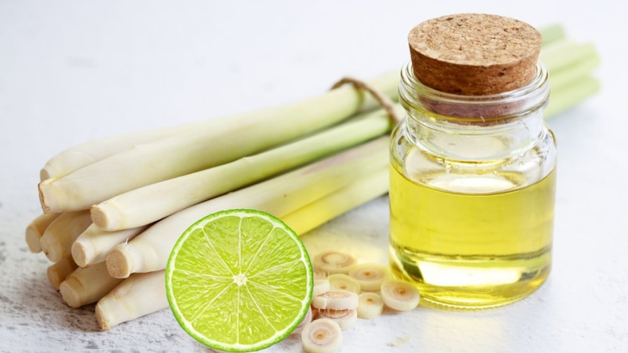 Tinh dầu cho người lớn tuổi: mùi nào tốt cho hô hấp & giấc ngủ?