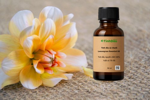 Tinh dầu cho học sinh ôn thi