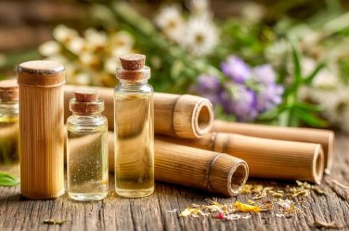 Tinh dầu được chiết xuất như thế nào? Các phương pháp phổ biến