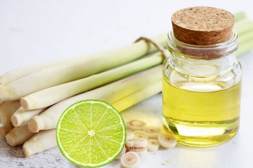 Tinh dầu cho người lớn tuổi: mùi nào tốt cho hô hấp & giấc ngủ?