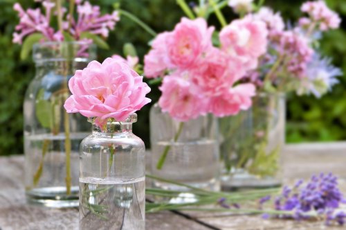 Cách dùng tinh dầu khi tắm: thư giãn – đẹp da – giảm stress