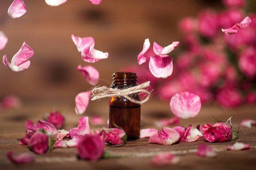 Tinh dầu tăng tập trung: mùi nào giúp làm việc hiệu quả hơn?