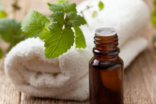 Tinh dầu cho người mất ngủ kinh niên: mùi nào giúp thư giãn sâu?