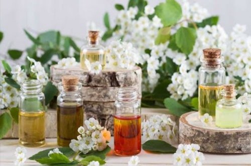 Tinh dầu thu hút may mắn: mùi nào giúp tăng năng lượng tích cực?