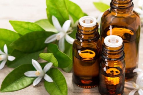 Tinh dầu xua tan năng lượng tiêu cực trong nhà