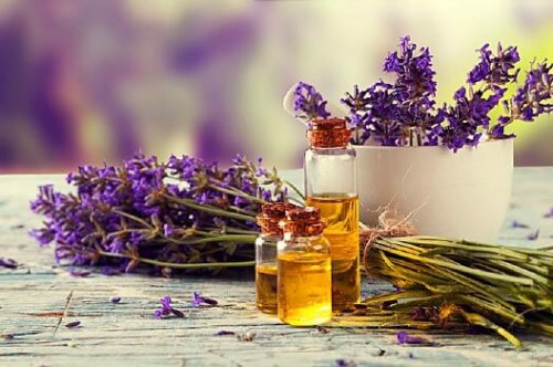 Tinh dầu giúp cân bằng âm dương trong không gian sống