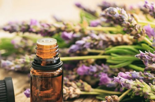 Cách dùng tinh dầu cho người mới bắt đầu: đơn giản & an toàn