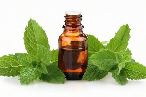 Nên mua tinh dầu loại nào cho người mới bắt đầu?