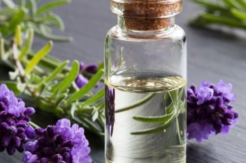 Tinh dầu cho người lớn tuổi: mùi nào dễ chịu và an toàn?